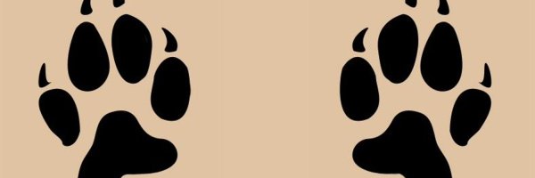 Отпечаток львиной лапы