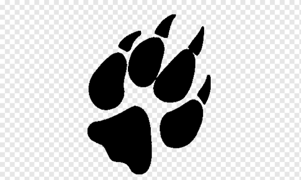 Следы лисы на прозрачном фоне