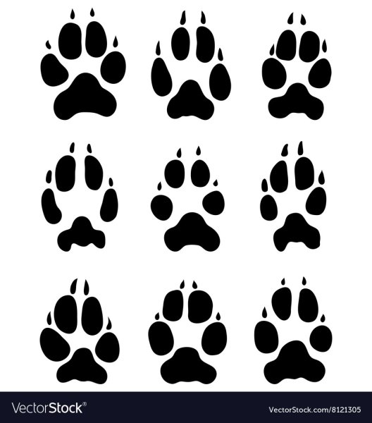 Лапки шаблон