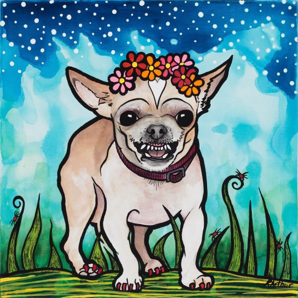 Чихуахуа карандашом