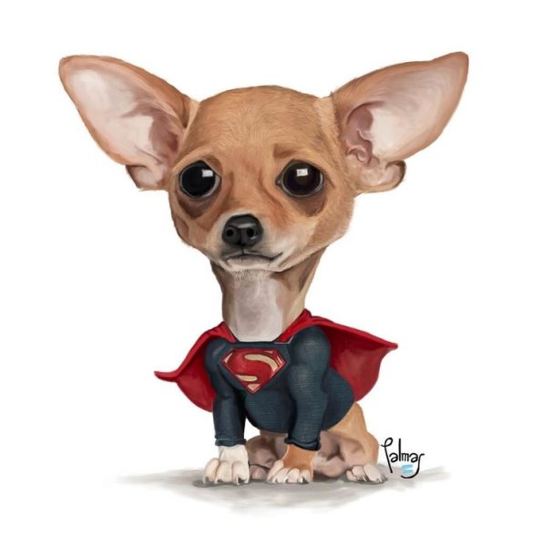 Чихуахуа мультяшный