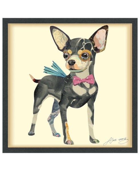 Чихуахуа Епифан