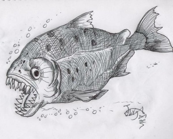Пиранья карандашом