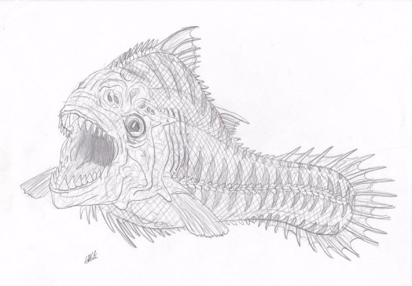 Пиранья карандашом