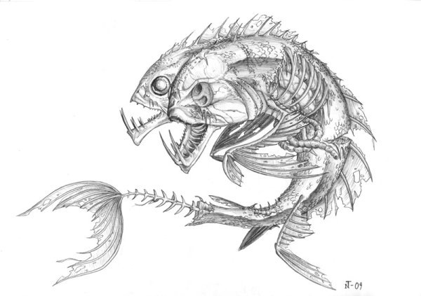 Морские монстры раскраска