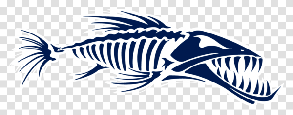 Барракуда скелет