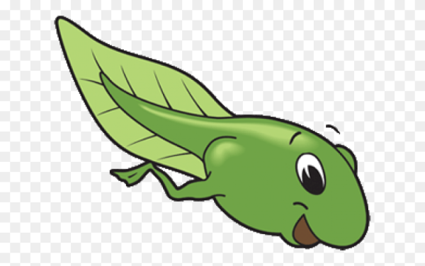 Головастик раскраска для детей