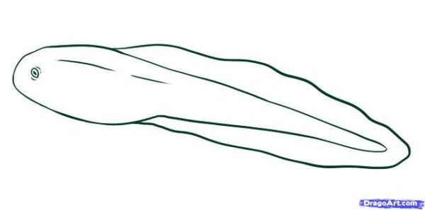 Головастик мультяшный