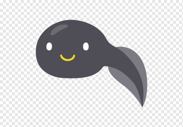 Анимационные лягушки