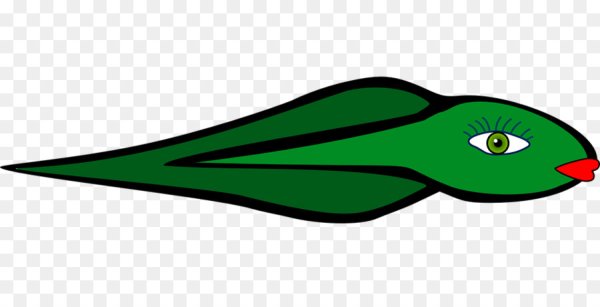 Головастик клипарт