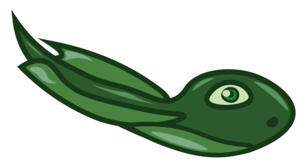 Головастик раскраска