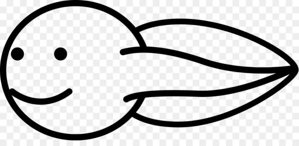 Этапы развития головастика лягушки