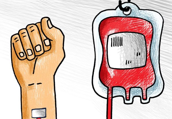 Донорство крови рисунки