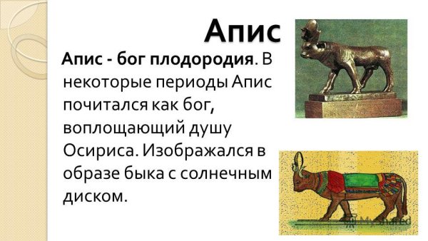 Бог АПИС В древнем Египте
