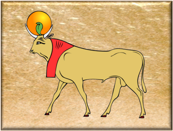 АПИС Египет контур