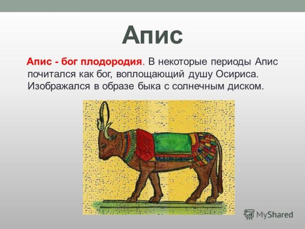 АПИС бык Египет