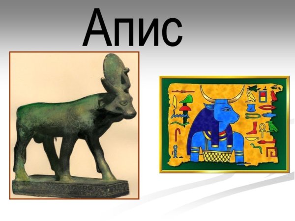 АПИС В древнем Египте