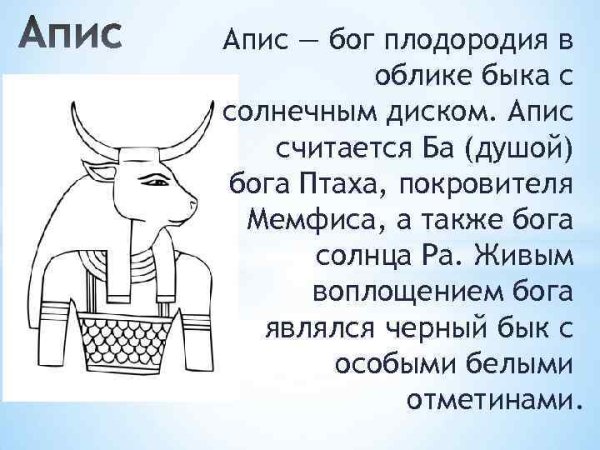 Священные животные Египта АПИС