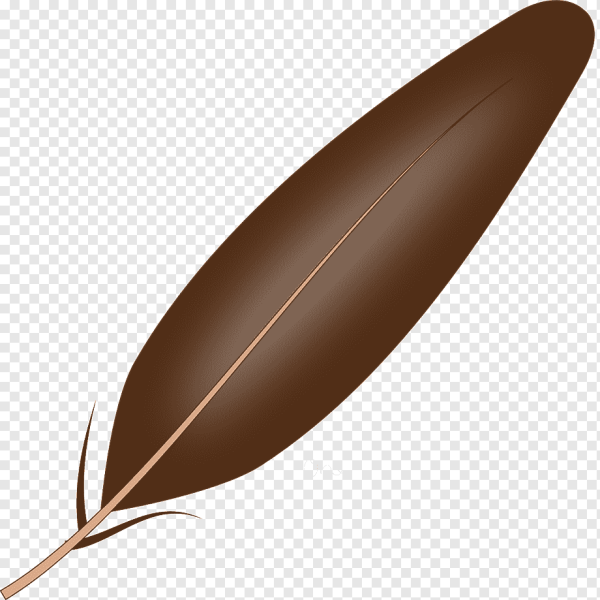 Коричневые перья