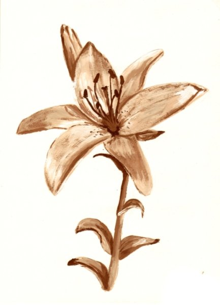 Рисунки коричневого цвета