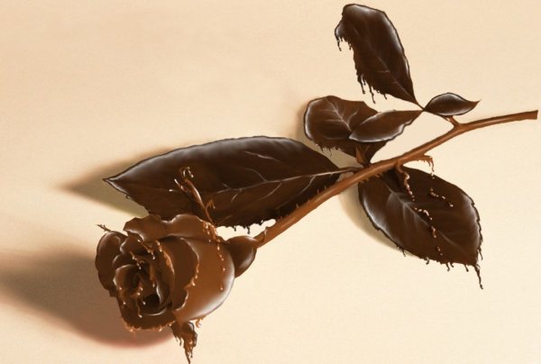 Шоколадные цветы