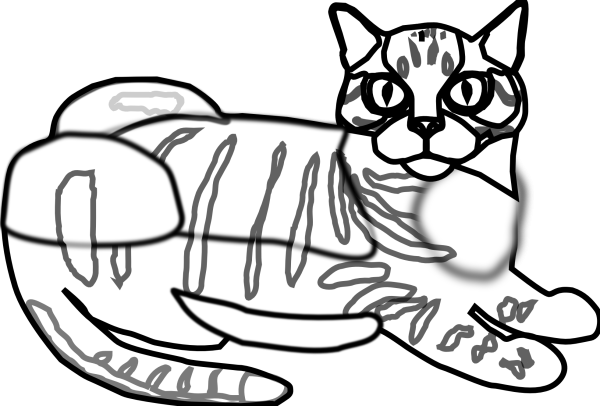 Кошка табби картина