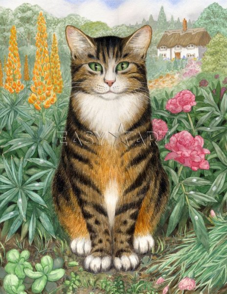 Серые полосатые коты акварелью