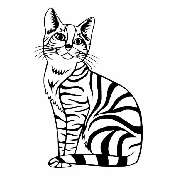 Рисунки для скетчбука кот сайван