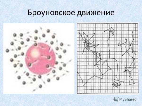 Броуновское движение доклад