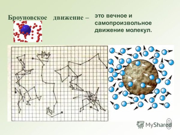 Роберт Броун 1827 броуновское движение