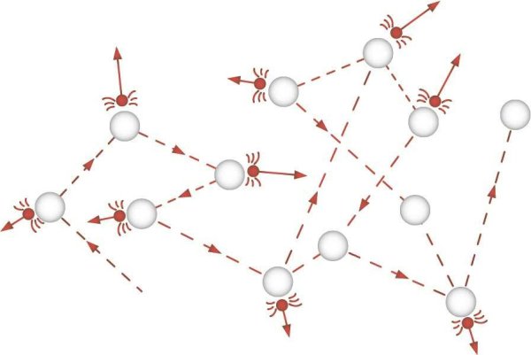 Броун броуновское движение