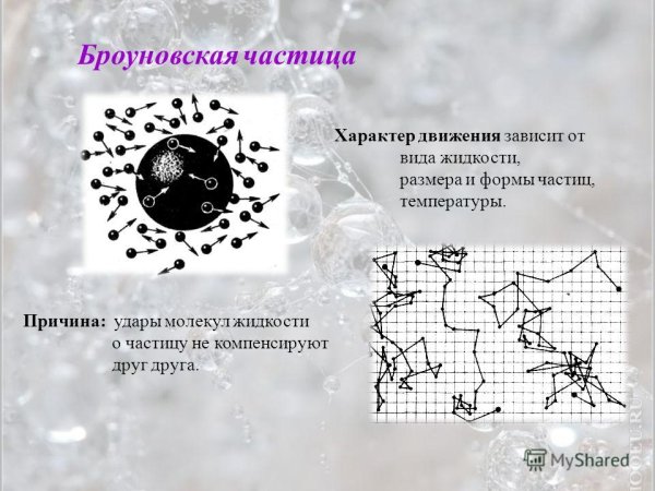 Модель броуновского движения частиц