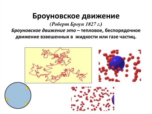 Траектория броуновского движения