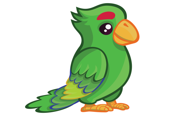 Попугай рисунок
