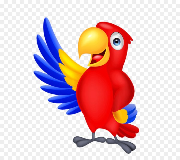 Векторный попугай