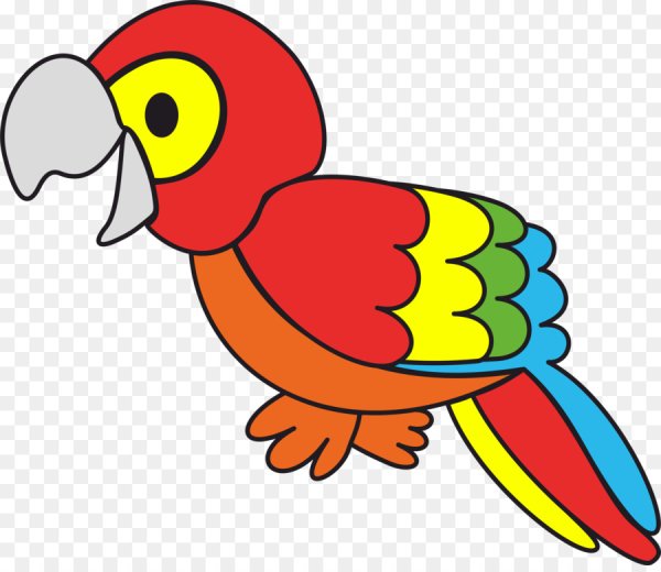 Изображение попугая для детей