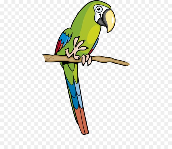 Мультяшные попугаи