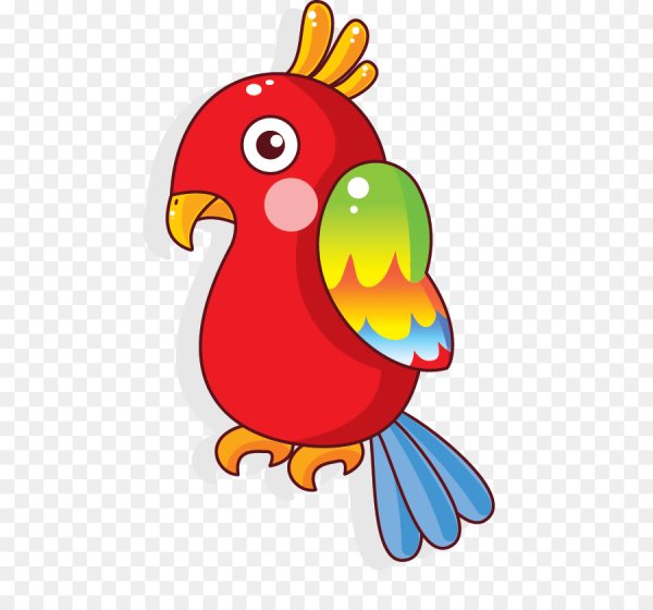 Попугай рисунок для детей