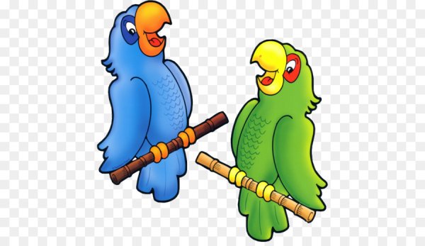 Два попугайчика рисунок