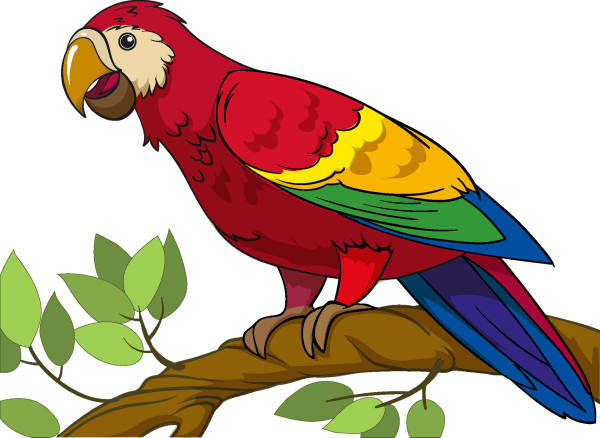 Попугай картинка для детей на прозрачном фоне