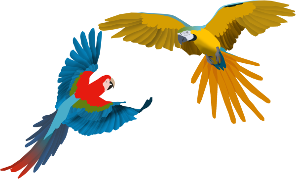 Попугай ара мультяшный
