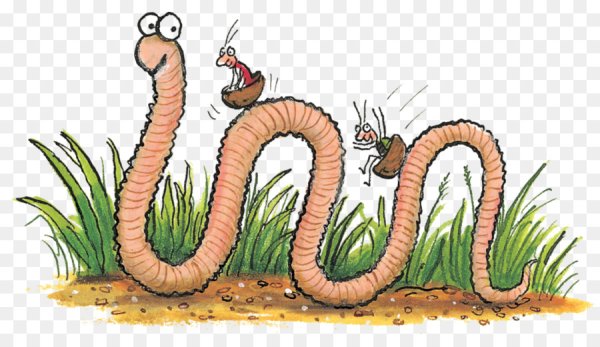 Worms червяк вид сбоку