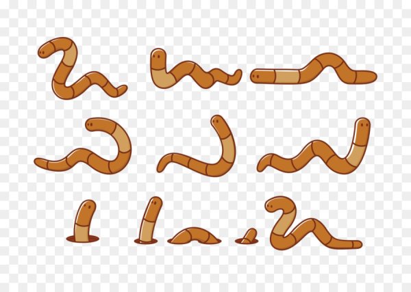 Червячки без фона