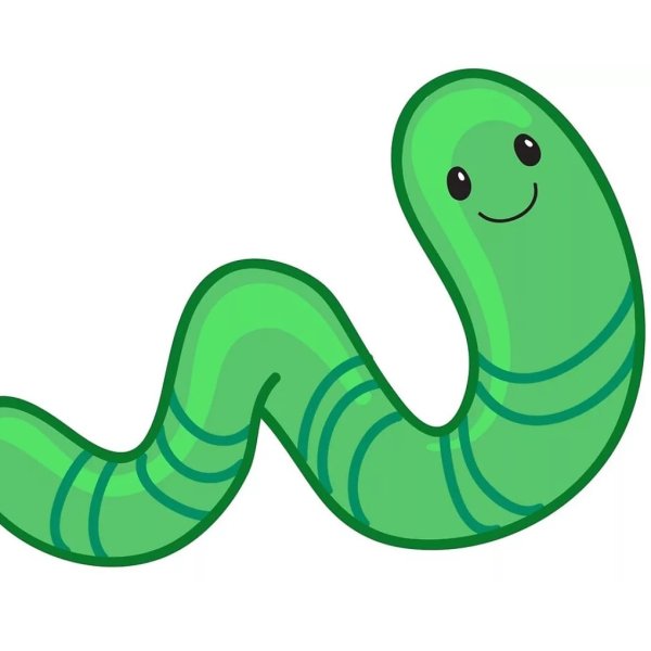 Червяк картинка для детей на прозрачном фоне