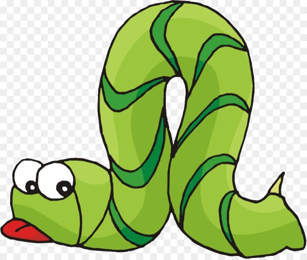 Раскраска дождевой червячок