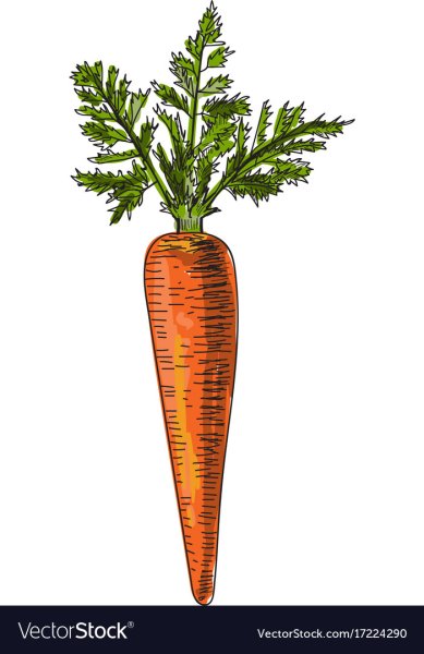 Морковь Графика