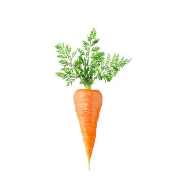 Морковь на прозрачном фоне
