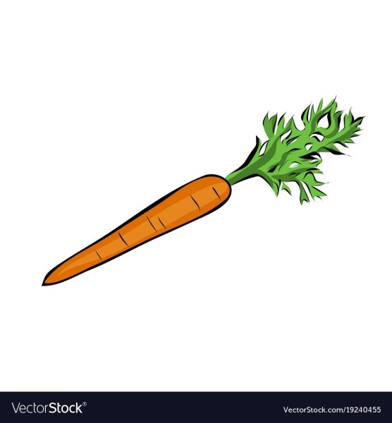 Морковная ботва рисунок