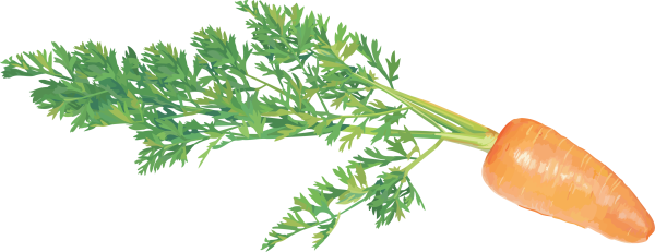Морковь стилизация