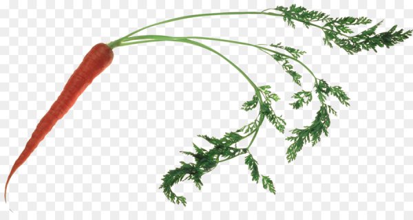 Морковка значок